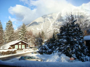  Chalet de 3 chambres a Chamonix Mont Blanc a 200 m des pistes avec terrasse amenagee et wifi  Шамони
